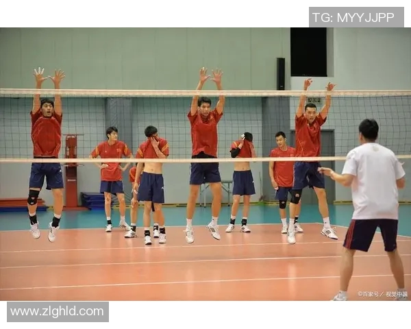 广州排球队的节奏与魅力探索：排球运动的热情与团队精神